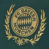 bayern-munchen-oktoberfest-voetbalshirt-21-22.jpg