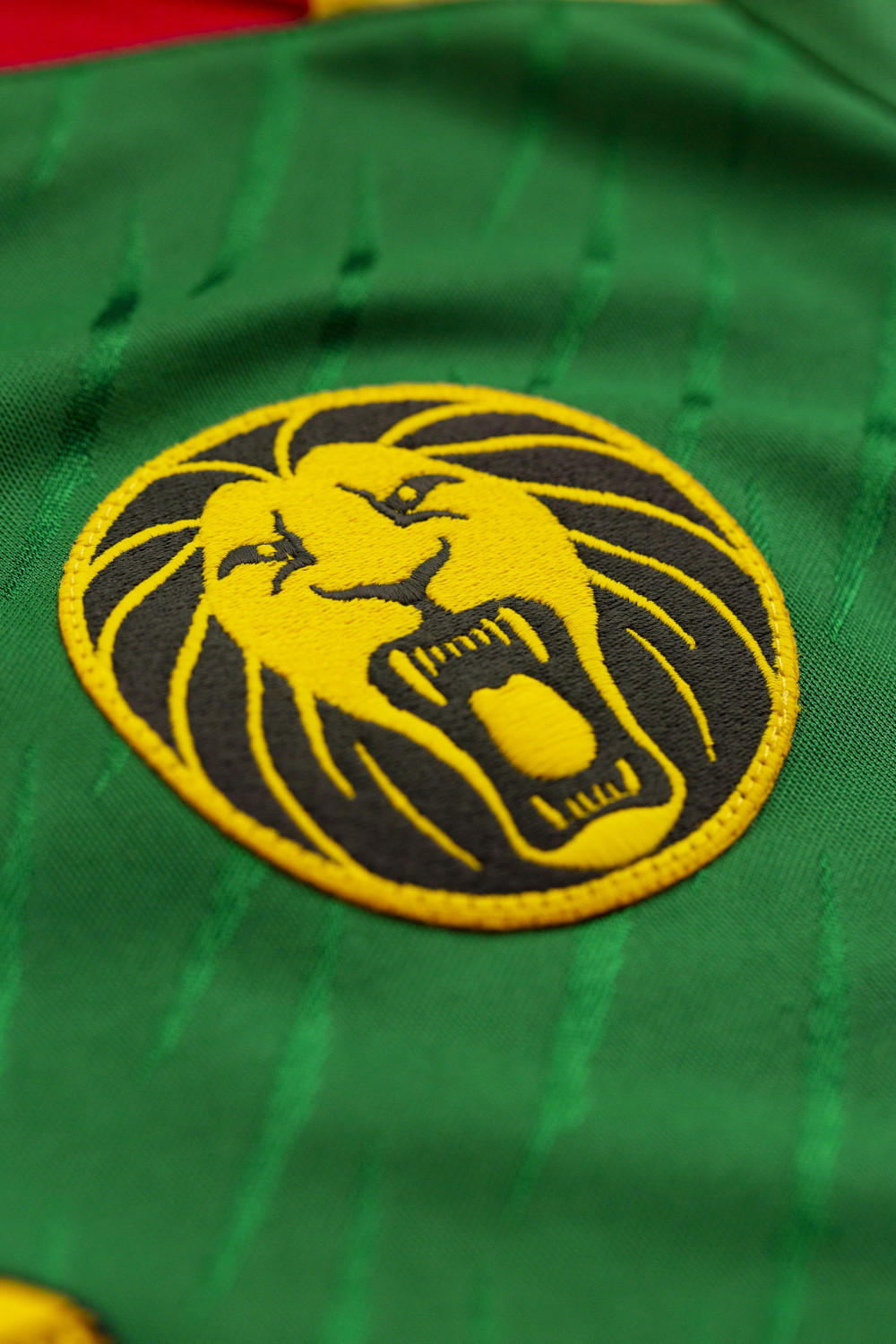 Detail Kamerun Fussballtrikot 2022