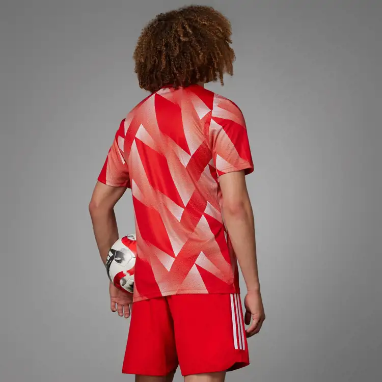 Dieses Aufwärmshirt trägt Bayern München während 2023-2024.